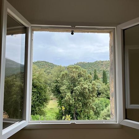 Appartement Soveria מראה חיצוני תמונה